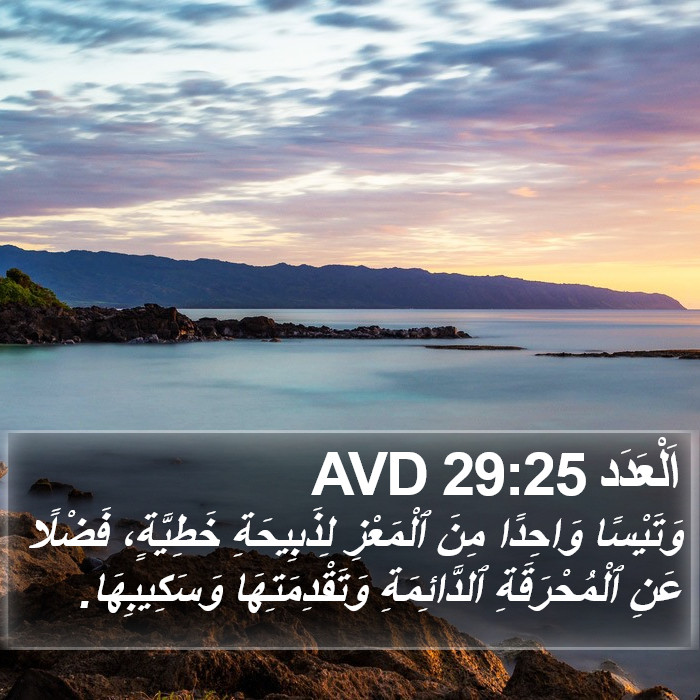اَلْعَدَد 29:25 AVD Bible Study