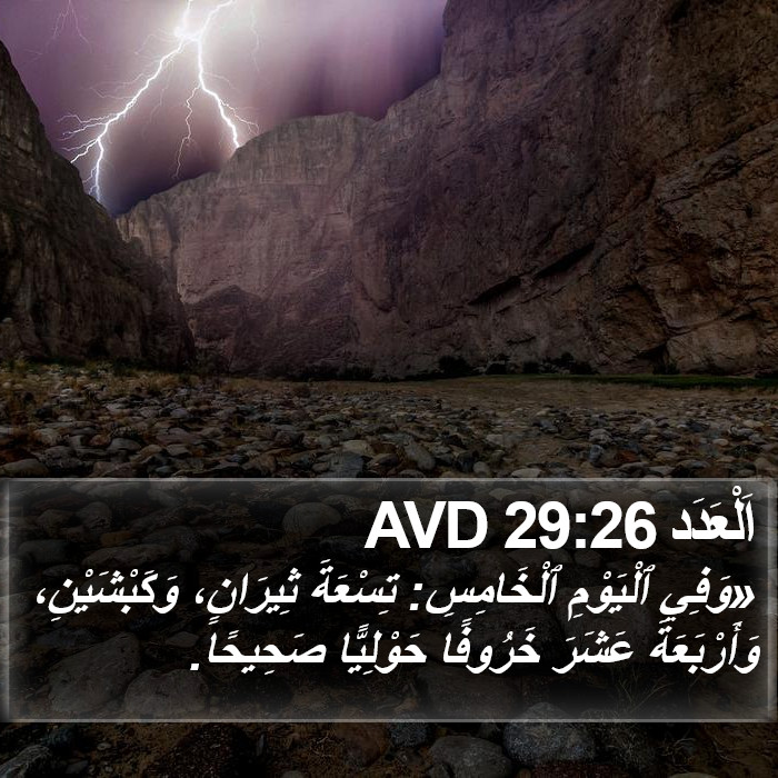 اَلْعَدَد 29:26 AVD Bible Study