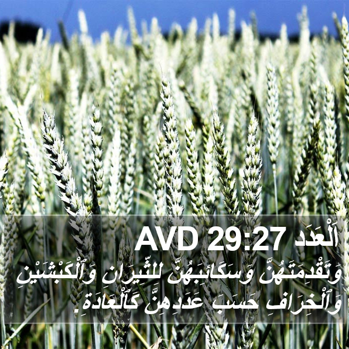 اَلْعَدَد 29:27 AVD Bible Study