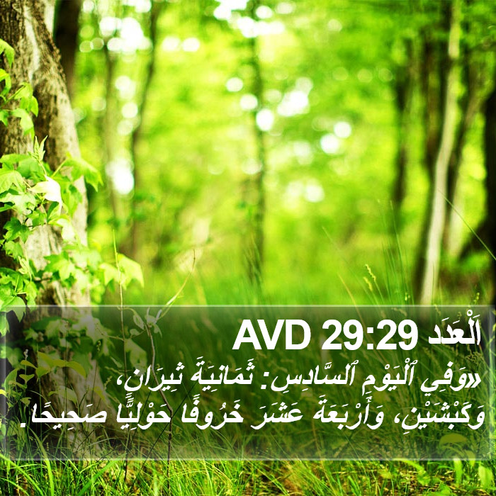 اَلْعَدَد 29:29 AVD Bible Study