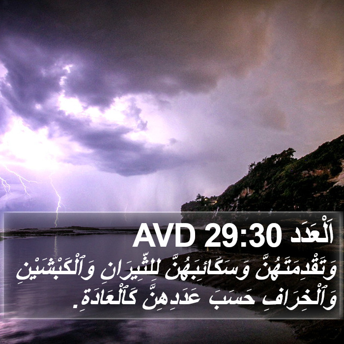 اَلْعَدَد 29:30 AVD Bible Study