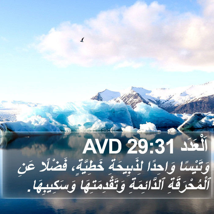 اَلْعَدَد 29:31 AVD Bible Study