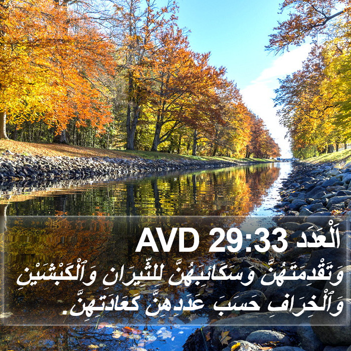 اَلْعَدَد 29:33 AVD Bible Study