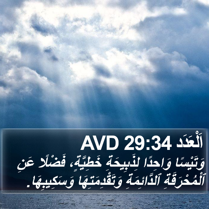 اَلْعَدَد 29:34 AVD Bible Study