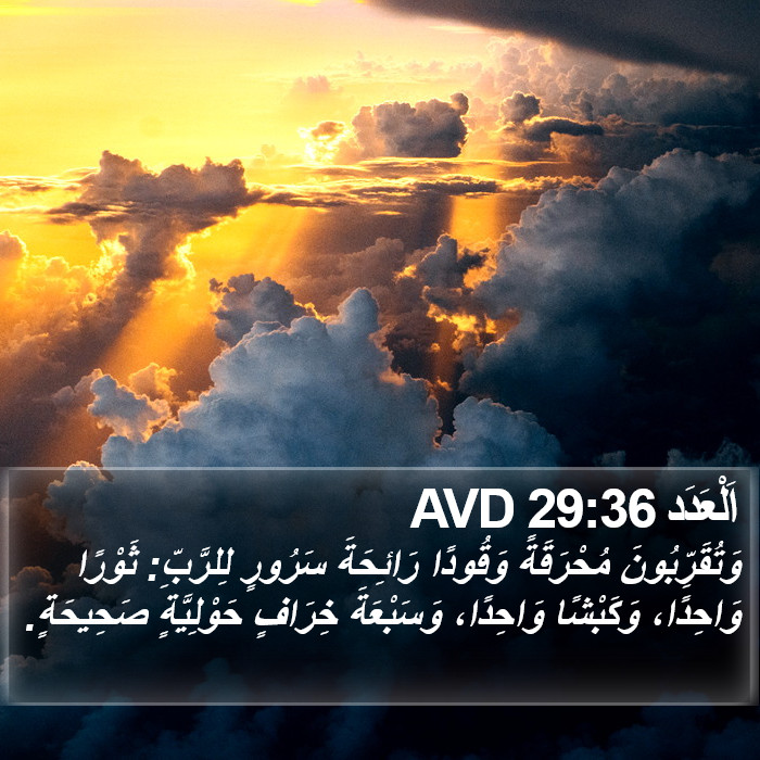اَلْعَدَد 29:36 AVD Bible Study