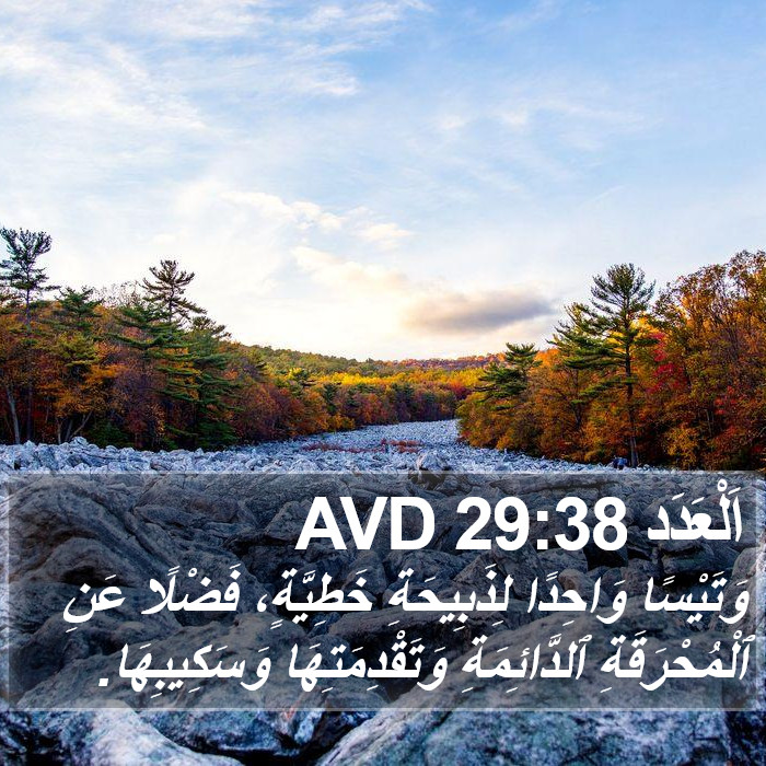 اَلْعَدَد 29:38 AVD Bible Study