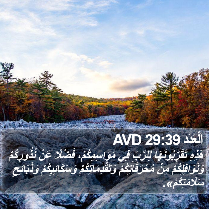 اَلْعَدَد 29:39 AVD Bible Study