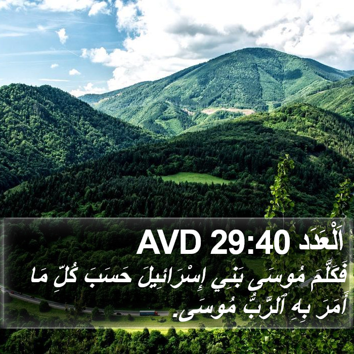 اَلْعَدَد 29:40 AVD Bible Study