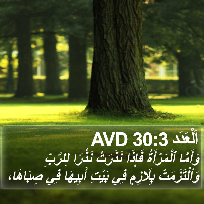 اَلْعَدَد 30:3 AVD Bible Study