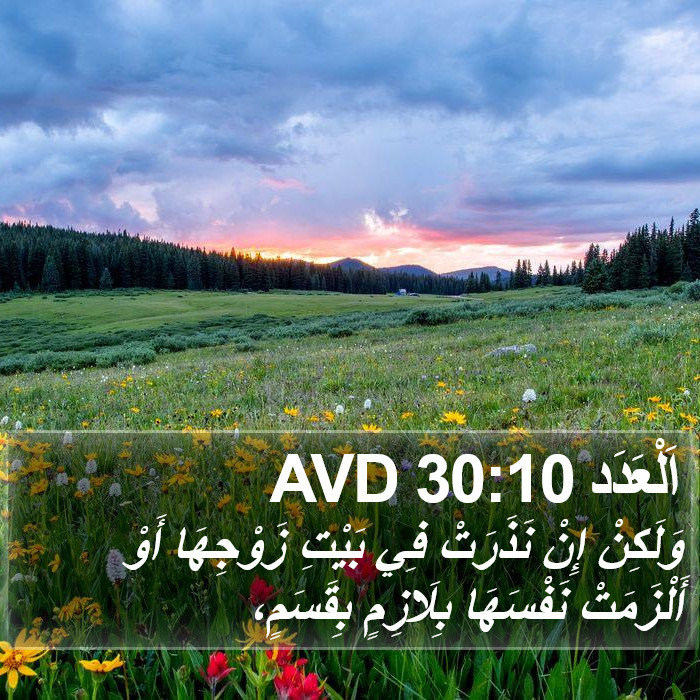 اَلْعَدَد 30:10 AVD Bible Study