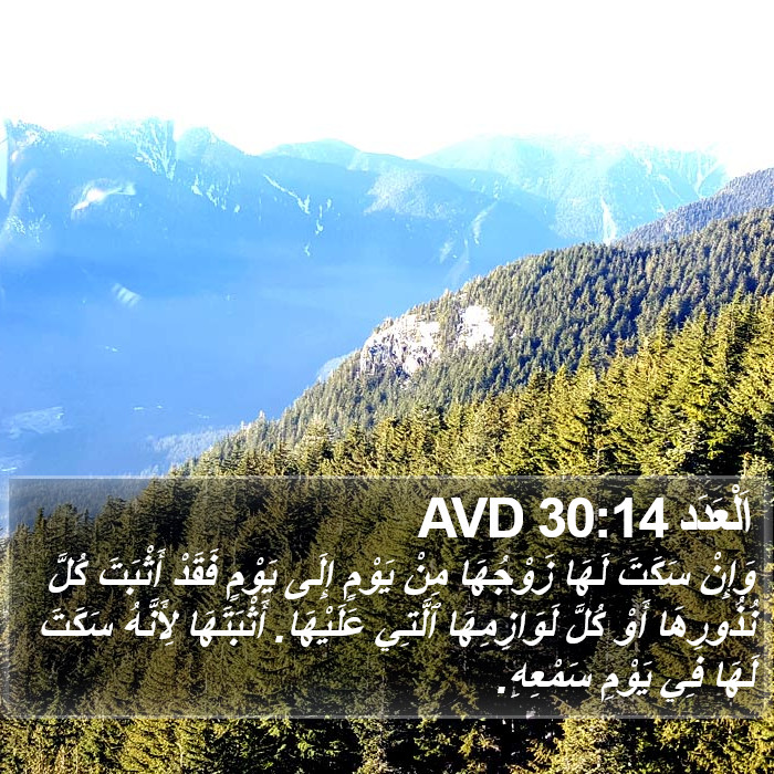 اَلْعَدَد 30:14 AVD Bible Study