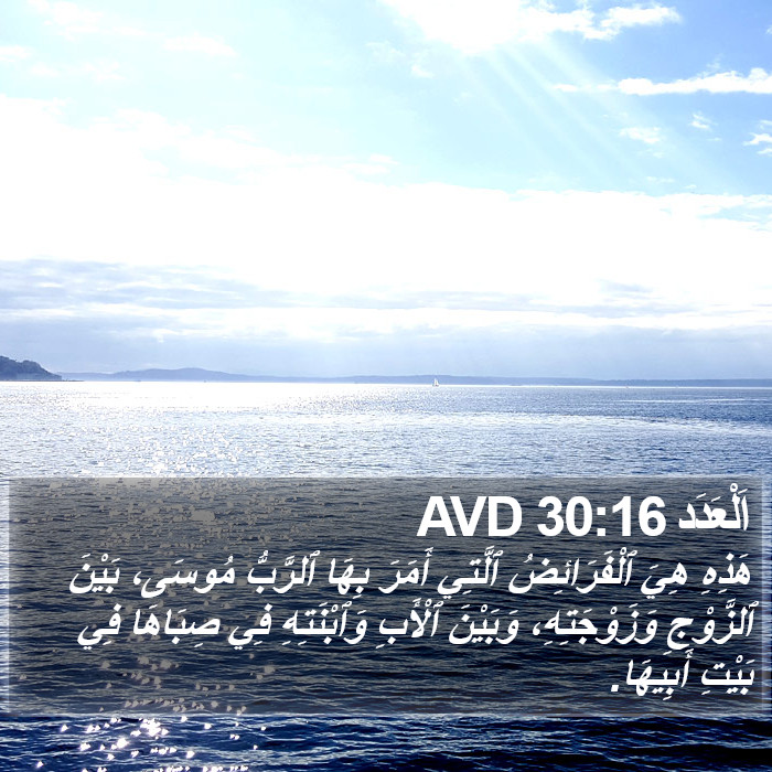اَلْعَدَد 30:16 AVD Bible Study