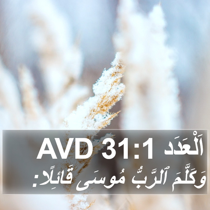 اَلْعَدَد 31:1 AVD Bible Study