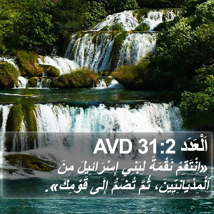 اَلْعَدَد 31:2 AVD Bible Study