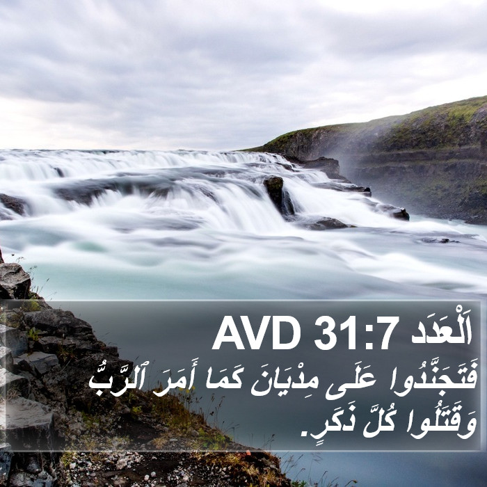 اَلْعَدَد 31:7 AVD Bible Study