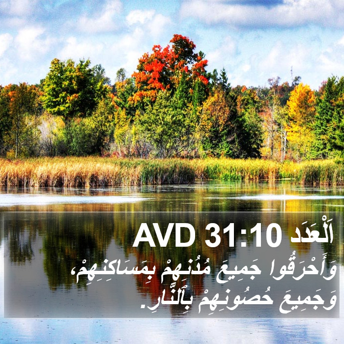 اَلْعَدَد 31:10 AVD Bible Study