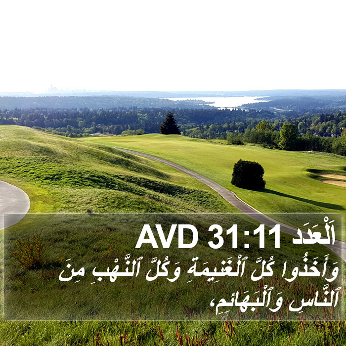 اَلْعَدَد 31:11 AVD Bible Study