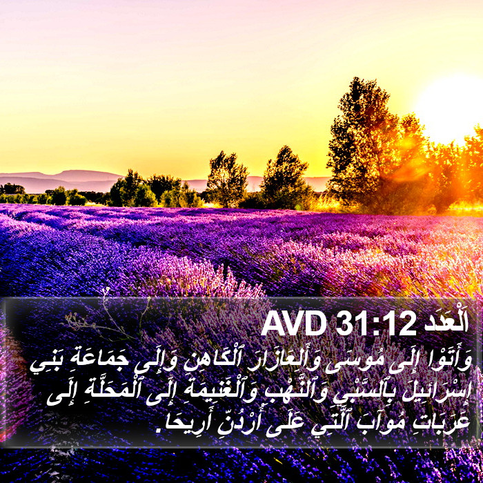 اَلْعَدَد 31:12 AVD Bible Study