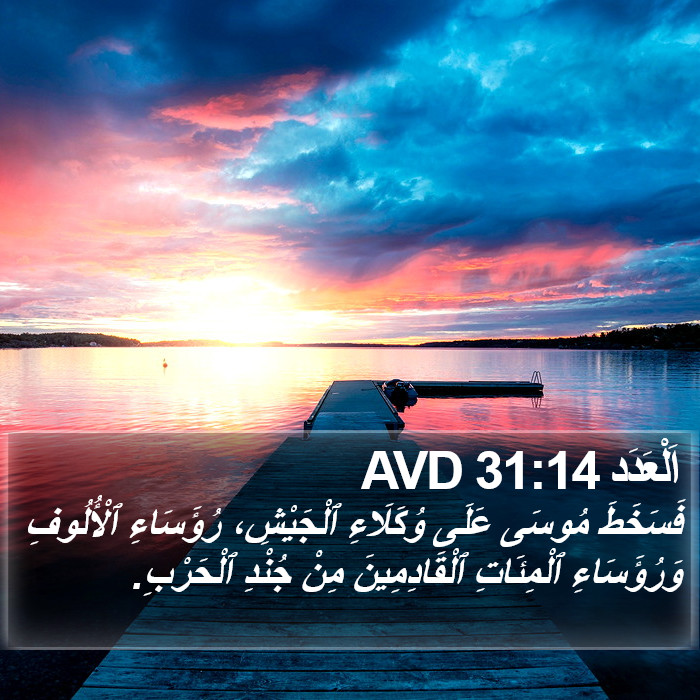 اَلْعَدَد 31:14 AVD Bible Study