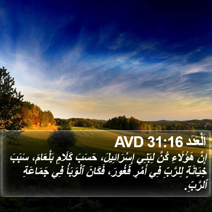 اَلْعَدَد 31:16 AVD Bible Study