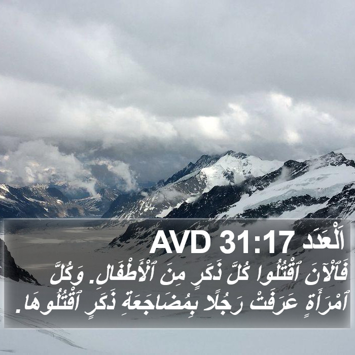 اَلْعَدَد 31:17 AVD Bible Study