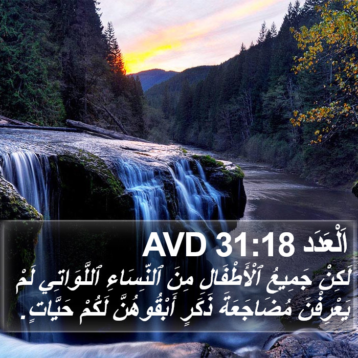 اَلْعَدَد 31:18 AVD Bible Study