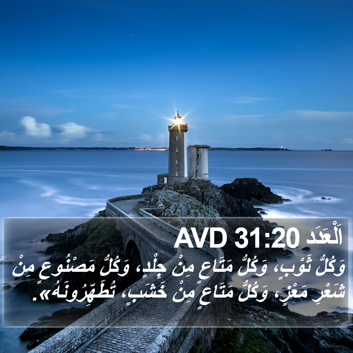 اَلْعَدَد 31:20 AVD Bible Study