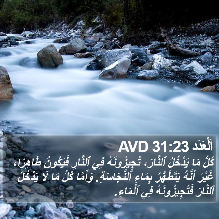 اَلْعَدَد 31:23 AVD Bible Study