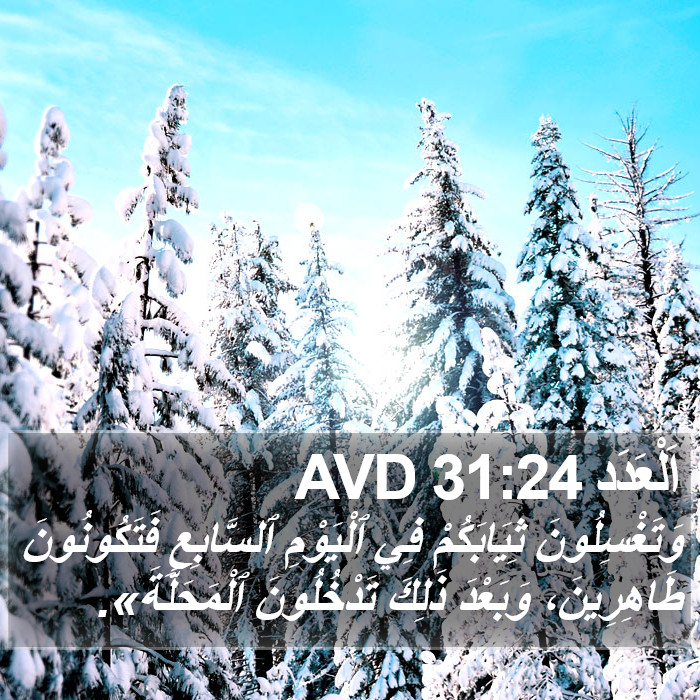 اَلْعَدَد 31:24 AVD Bible Study