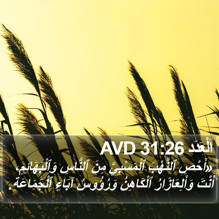 اَلْعَدَد 31:26 AVD Bible Study