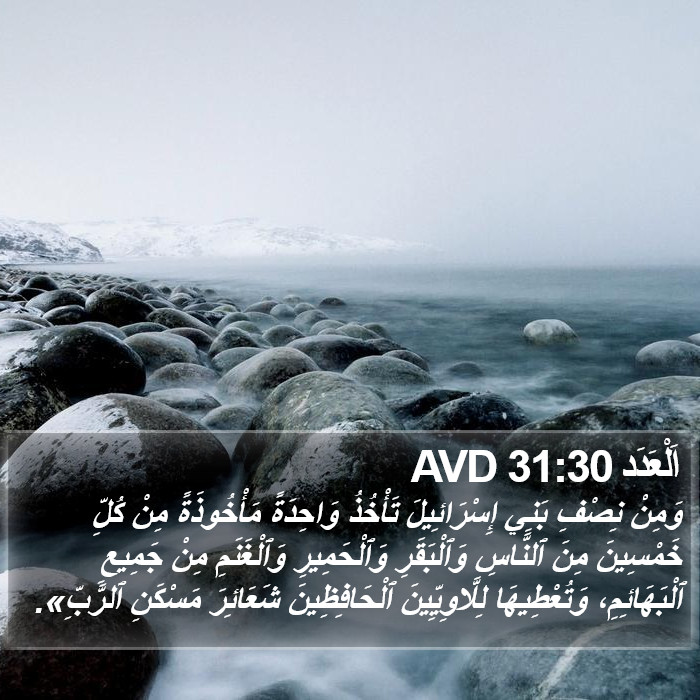 اَلْعَدَد 31:30 AVD Bible Study