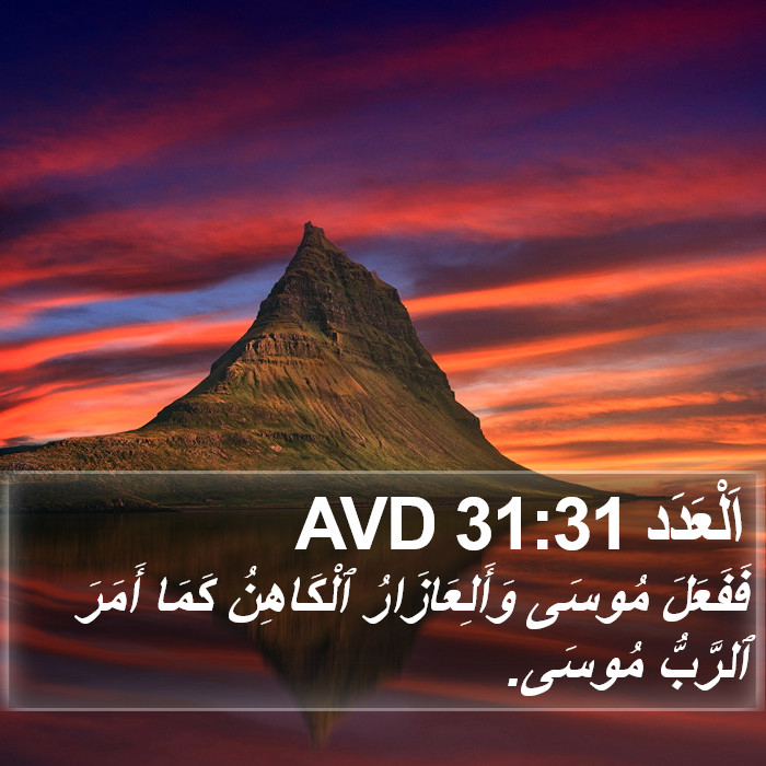 اَلْعَدَد 31:31 AVD Bible Study