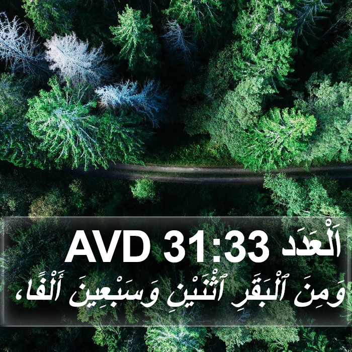 اَلْعَدَد 31:33 AVD Bible Study