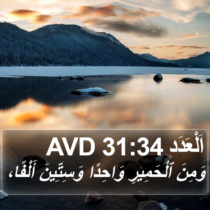 اَلْعَدَد 31:34 AVD Bible Study