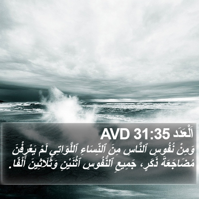 اَلْعَدَد 31:35 AVD Bible Study