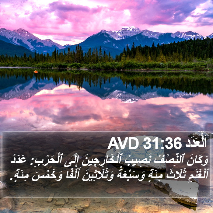 اَلْعَدَد 31:36 AVD Bible Study