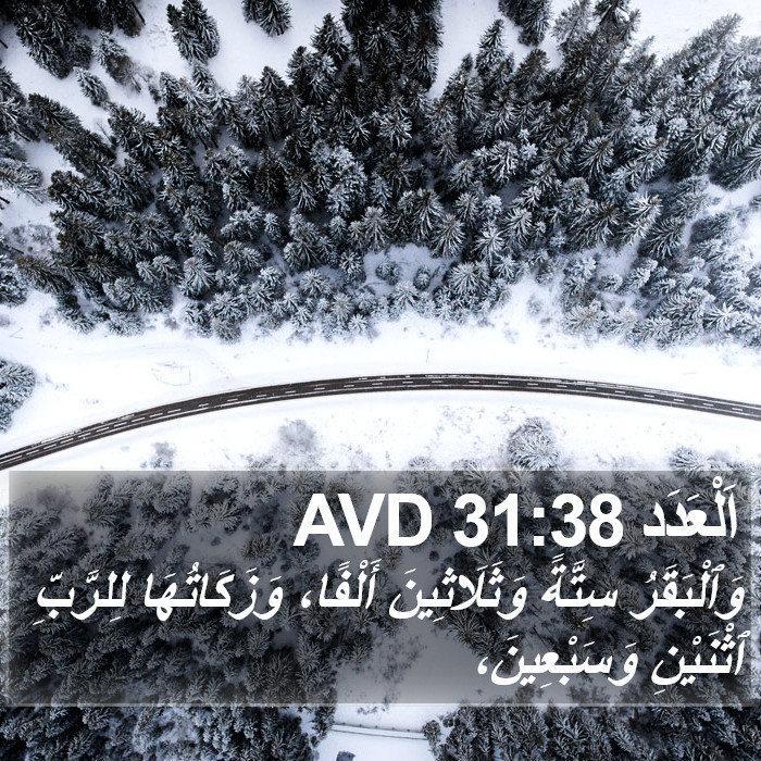 اَلْعَدَد 31:38 AVD Bible Study