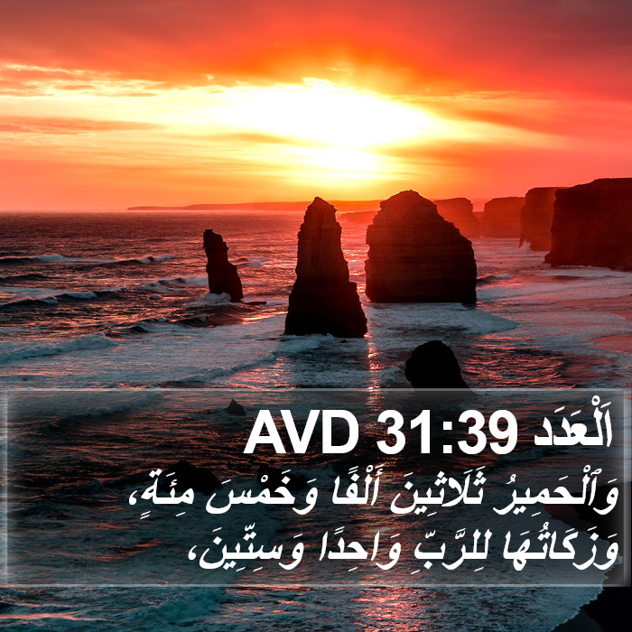 اَلْعَدَد 31:39 AVD Bible Study