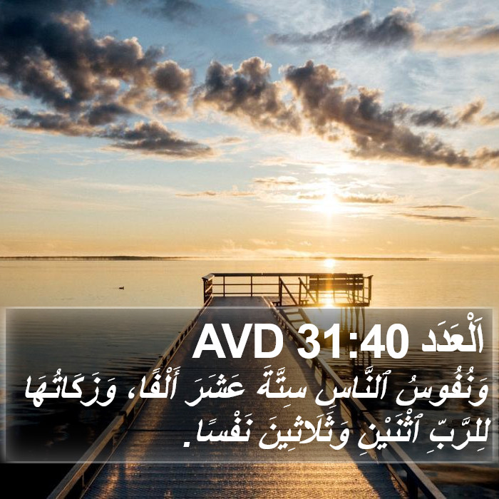 اَلْعَدَد 31:40 AVD Bible Study