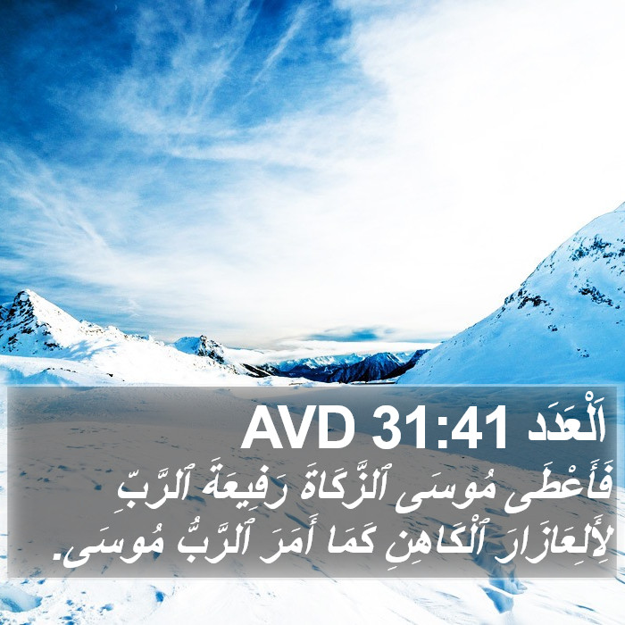 اَلْعَدَد 31:41 AVD Bible Study