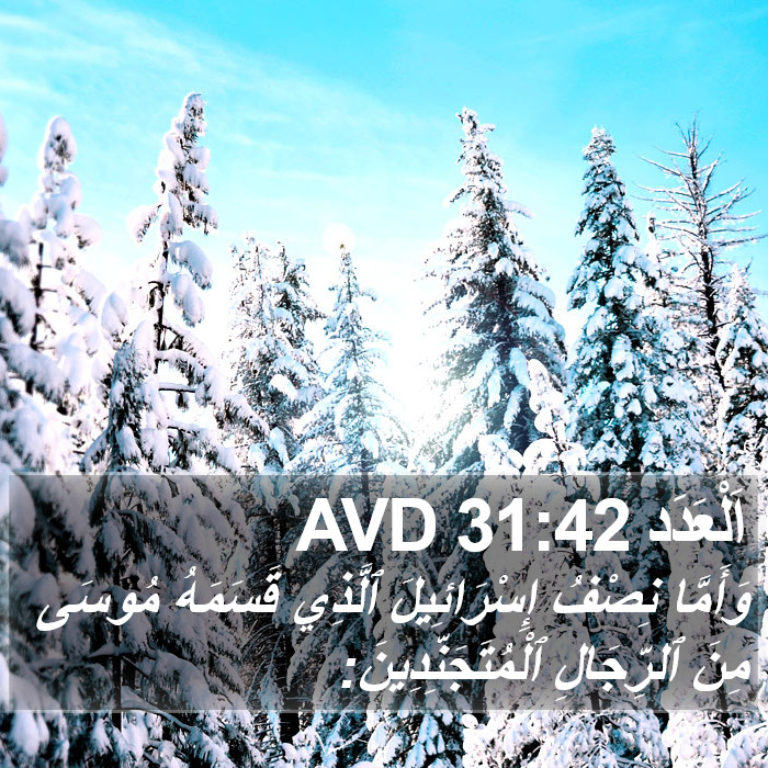 اَلْعَدَد 31:42 AVD Bible Study