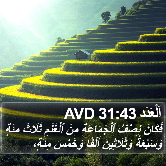 اَلْعَدَد 31:43 AVD Bible Study