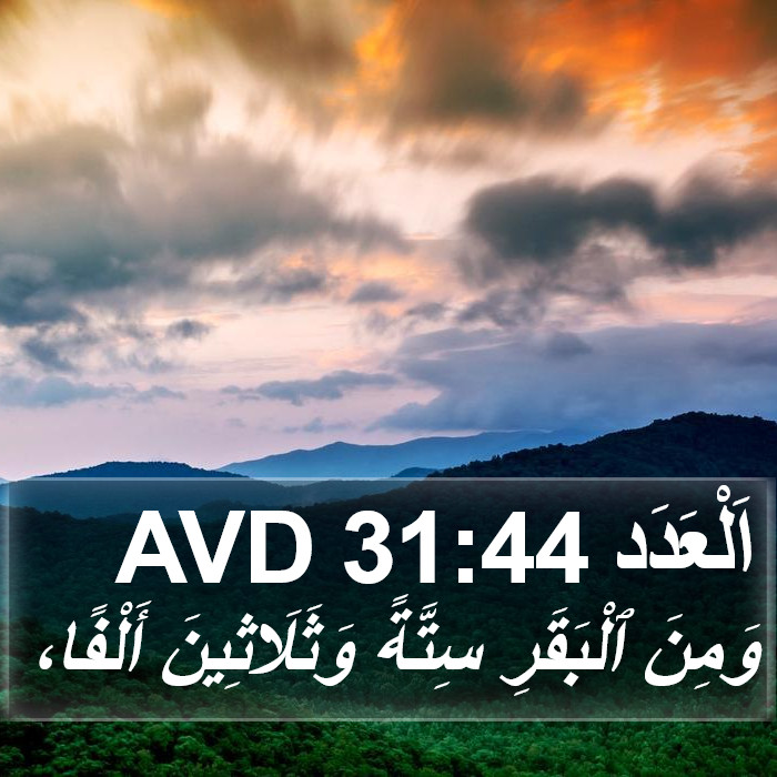 اَلْعَدَد 31:44 AVD Bible Study