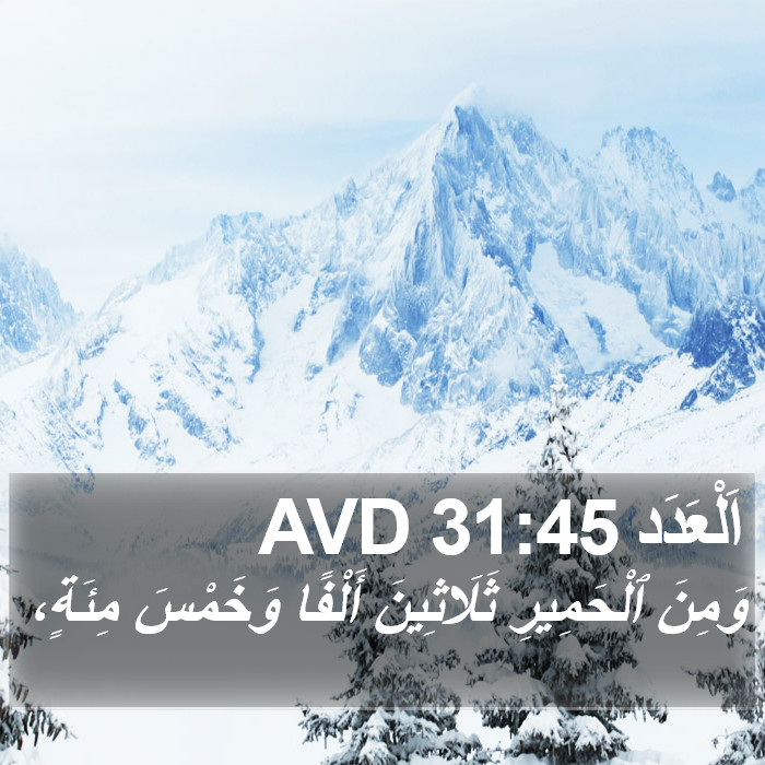 اَلْعَدَد 31:45 AVD Bible Study