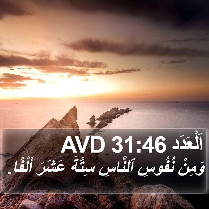 اَلْعَدَد 31:46 AVD Bible Study