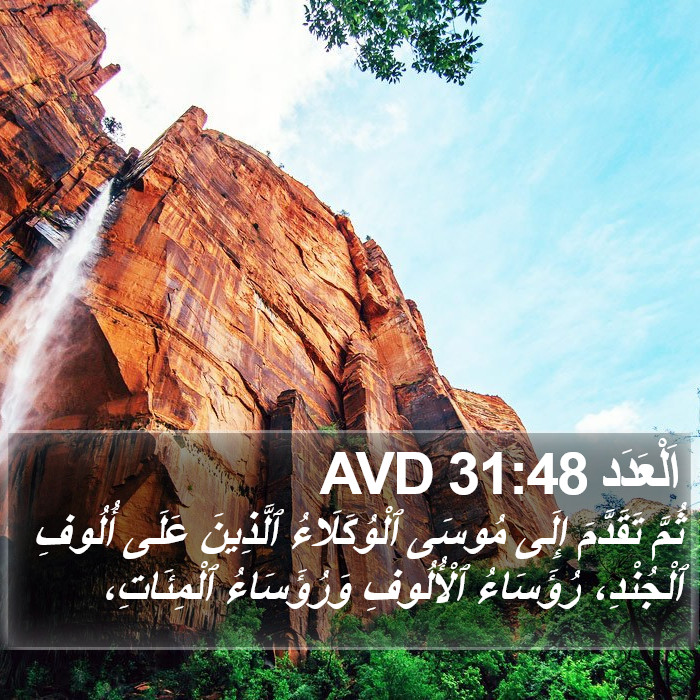 اَلْعَدَد 31:48 AVD Bible Study