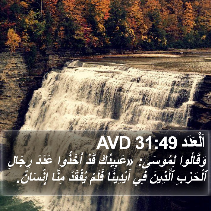 اَلْعَدَد 31:49 AVD Bible Study