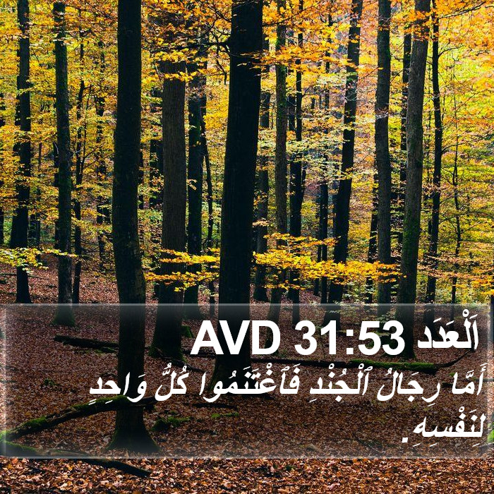 اَلْعَدَد 31:53 AVD Bible Study