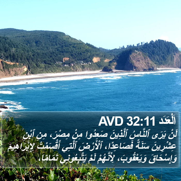 اَلْعَدَد 32:11 AVD Bible Study