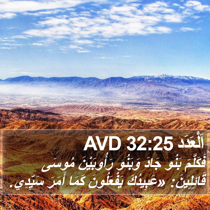 اَلْعَدَد 32:25 AVD Bible Study